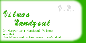 vilmos mandzsul business card